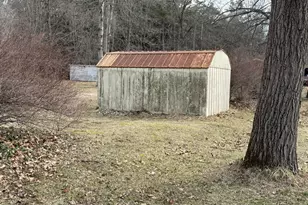 6242 Hawley Hwy, Belding, MI 48809 - Photo 5