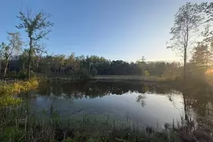 3775 16 Mile, Marion, MI 49665 - Photo 33
