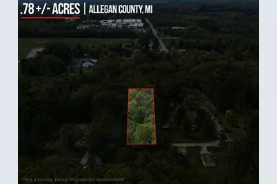 202 Lowe Street, Allegan, MI 49010 - Photo 1