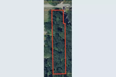 202 Lowe Street, Allegan, MI 49010 - Photo 9
