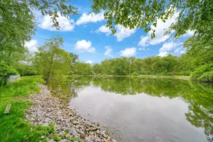 8866 Crane Rd, Milan, MI 48160 - Photo 63