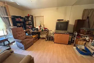 213 Clinton St, Dowagiac, MI 49047 - Photo 5