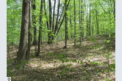 00 M-115, Tustin, MI 49688 - Photo 13