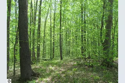 00 M-115, Tustin, MI 49688 - Photo 3