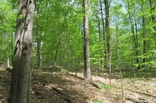 00 M-115, Tustin, MI 49688 - Photo 1