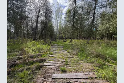 V/L 3 Mile Road, Sears, MI 49679 - Photo 21