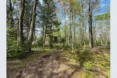 V/L 3 Mile Road, Sears, MI 49679 - Photo 5