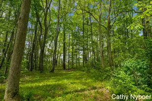 9188 W V Ave, Schoolcraft, MI 49087 - Photo 47