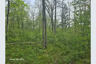 5042 W Jeffers Street #Par 4, Irons, MI 49644 - Photo 3