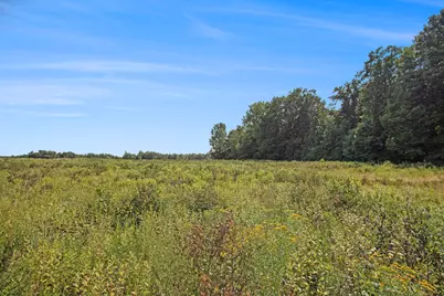 59237 Benny Court #Parcel 4, Grand Junction, MI 49056 - Photo 5