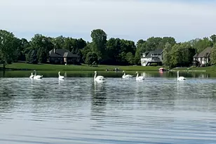 9168 Mirage Lake Dr, Milan, MI 48160 - Photo 5