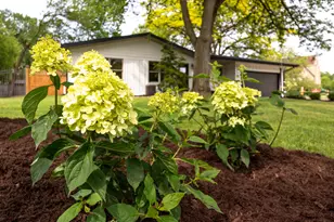 1155 Plymouth Ave SE, Grand Rapids, MI 49506 - Photo 9