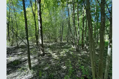 13817 S Log Cabin Road, Three Oaks, MI 49128 - Photo 23