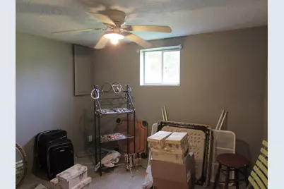430 W Race Street, Leslie, MI 49251 - Photo 9