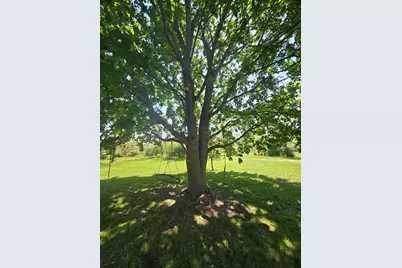 12495 5 Mile Road, Evart, MI 49631 - Photo 45