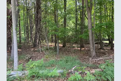 Vl 3rd Avenue, Pentwater, MI 49449 - Photo 3