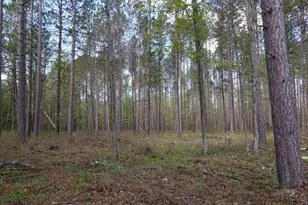 5826 S Morrison Rd, Alger, MI 48610 - Photo 61
