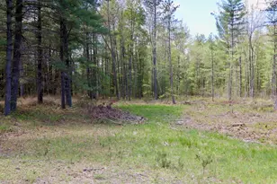5826 S Morrison Rd, Alger, MI 48610 - Photo 65