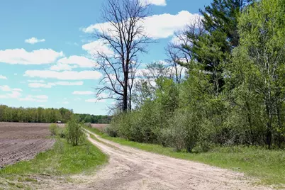 La Grant Road, Alger, MI 48610 - Photo 45