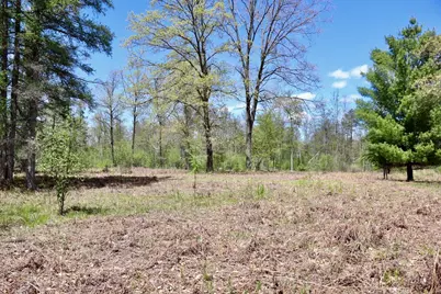 La Grant Road, Alger, MI 48610 - Photo 15