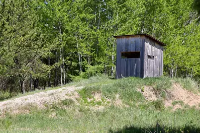 La Grant Road, Alger, MI 48610 - Photo 7