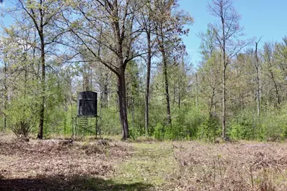 La Grant Road, Alger, MI 48610 - Photo 13