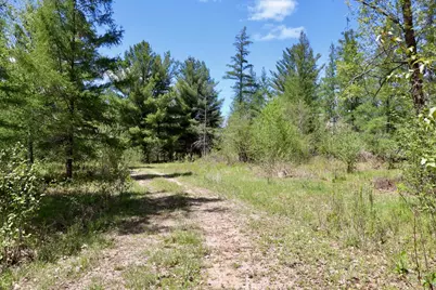 La Grant Road, Alger, MI 48610 - Photo 25
