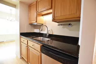 555 E William St, Ann Arbor, MI 48104 - Photo 9