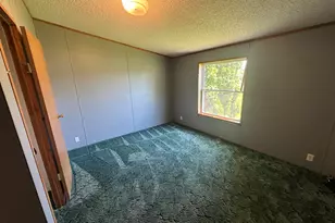 10020 Hadley Rd, Litchfield, MI 49252 - Photo 9