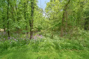 7132 S 27th St, Scotts, MI 49088 - Photo 25
