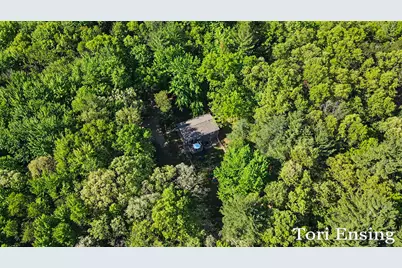 10688 Velma Drive, Greenville, MI 48838 - Photo 29