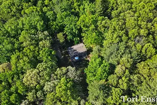 10688 Velma Dr, Greenville, MI 48838 - Photo 29