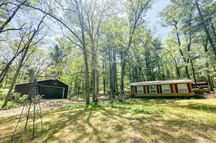8923 W Toma Trail, Irons, MI 49644 - Photo 3