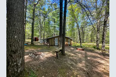 8923 W Toma Trail, Irons, MI 49644 - Photo 5