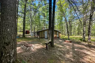 8923 W Toma Trail, Irons, MI 49644 - Photo 5