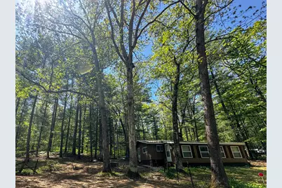 8923 W Toma Trail, Irons, MI 49644 - Photo 3