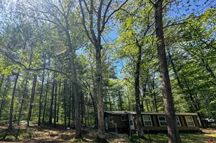 8923 W Toma Trail, Irons, MI 49644 - Photo 3