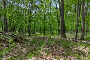 4681 Folks Rd, Horton, MI 49246 - Photo 61