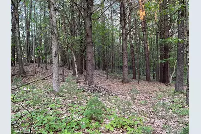 3601 Madison Road, Manistee, MI 49660 - Photo 41