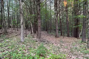3601 Madison Rd, Manistee, MI 49660 - Photo 41