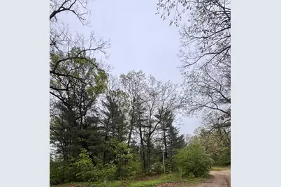 V/L Paw Paw Trail, Howard City, MI 49329 - Photo 3