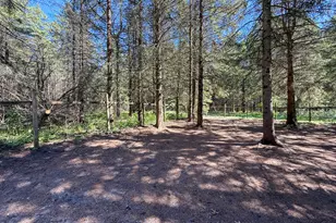 1583 N Dennis Rd, Ludington, MI 49431 - Photo 23