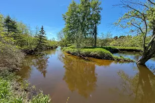 1583 N Dennis Rd, Ludington, MI 49431 - Photo 13
