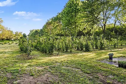 2175 E Hinchman Road, Berrien Springs, MI 49103 - Photo 39