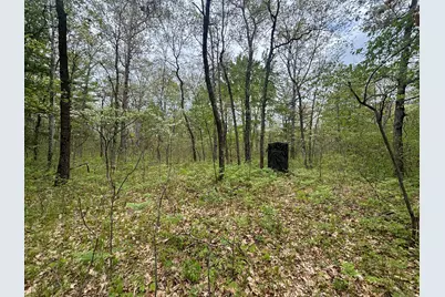 V/L 12.19 Rapp Drive, Grant, MI 49327 - Photo 25