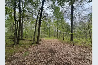 V/L 12.19 Rapp Drive, Grant, MI 49327 - Photo 31