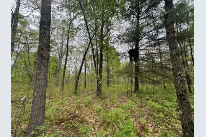 V/L 12.19 Rapp Drive, Grant, MI 49327 - Photo 27