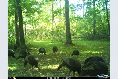 V/L 12.19 Rapp Drive, Grant, MI 49327 - Photo 43