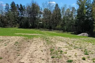 7909 11 Mile Rd, Bear Lake, MI 49614 - Photo 21