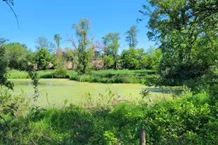 9007 Lake Rd, Berrien Center, MI 49102 - Photo 23